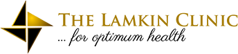 Lamkin logo1